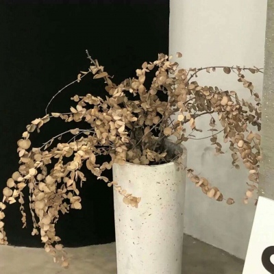 北屯FurryQQ群介绍